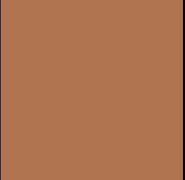 1Skin Foundation