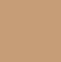 1Skin Foundation