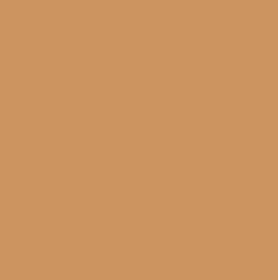 1Skin Foundation