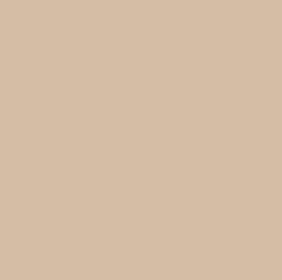 1Skin Foundation